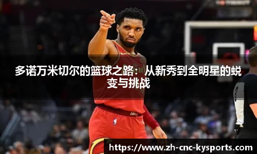 开云kaiyun网页版