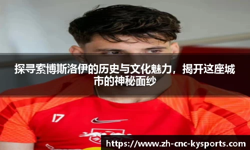 探寻索博斯洛伊的历史与文化魅力，揭开这座城市的神秘面纱