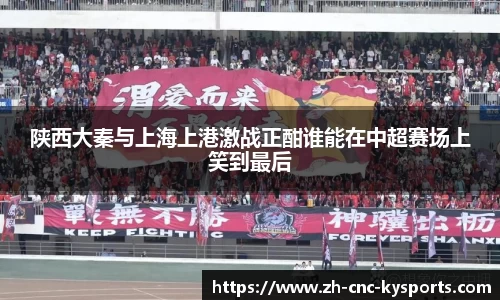 开云kaiyun平台