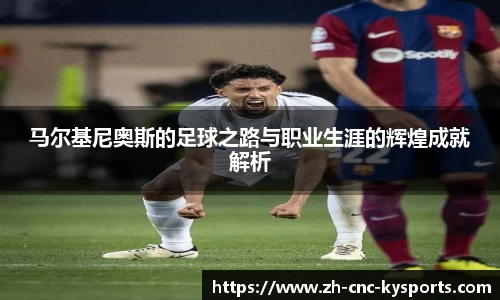 开云kaiyun网页版