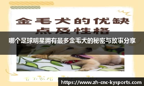 开云kaiyun网页版